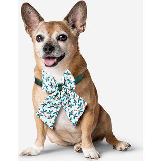 Halsbånd til kæledyr. Justerbar