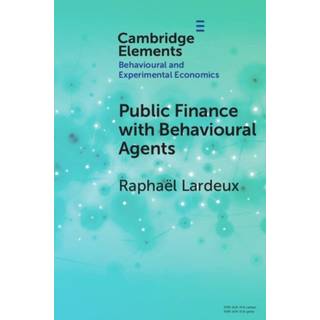 Public Finance with Behavioural Agents