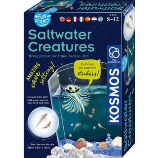 Kosmos Fun Science Eksperimentkasse Saltwater Creature