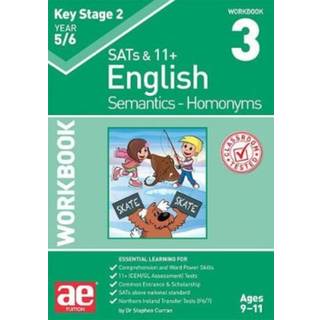 KS2 Semantics Year 5/6 Workbook 3 - Homonyms