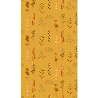 Herbario Curry - A00611N