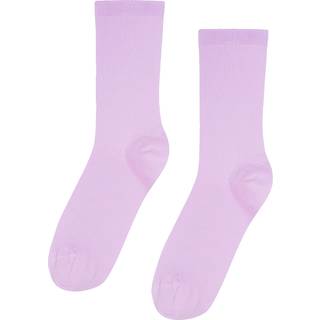 Colorful Standard Women Classic Sock Soft Lavender - 36-40