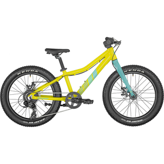 Bergamont Bergamonster 20" Plus Rigid