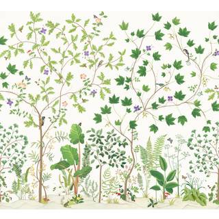 Sycamore & Oak Botanical Green - DABW217211