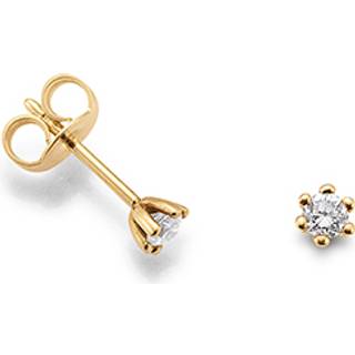 Palido Ohrstecker - New York Collection F1310G - gold