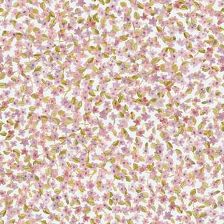 Ana Rosáceo - A00223N