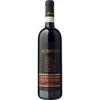 Stefano Accordini Acinatico Amarone della Valpolicella Classico 2020