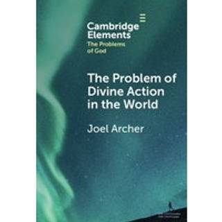 The Problem of Divine Action in the World