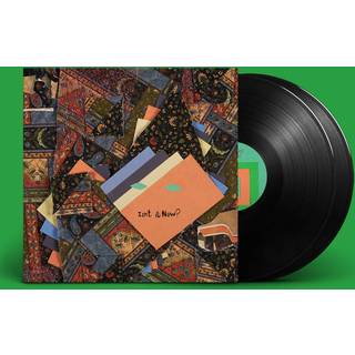 Animal Collective - Isn't It Now?