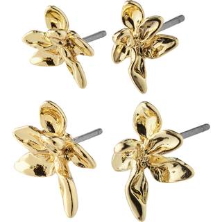 Riko 2-pak Øreringe, Gold Plated