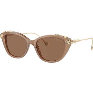 Swarovski Kvinde SK6010 2002OK Solbriller Acetat Brun Kobber Cat Eye Normal