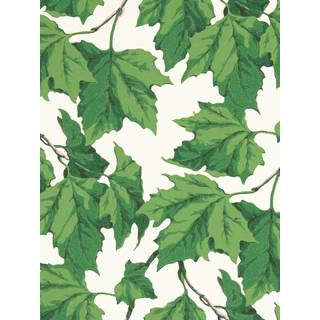 Dappled Leaf Emerald - HSRW113045
