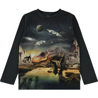 Sweatshirt - Lead - 14