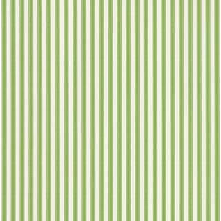Pinetum Stripe Sap Green - DABW217255