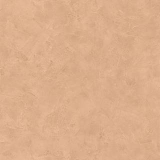 Patine Uni Sable Moyen - PAI100221603