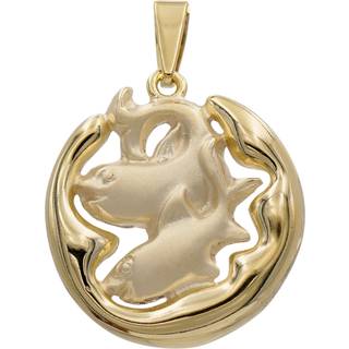 trendor 41000-3 Fische Sternzeichen Anhänger Gold 333 (8 Karat) Ø 21 mm