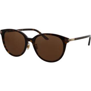 Gucci Kvinde GG1452SK 002 Solbriller Acetat Havana Brun Rund