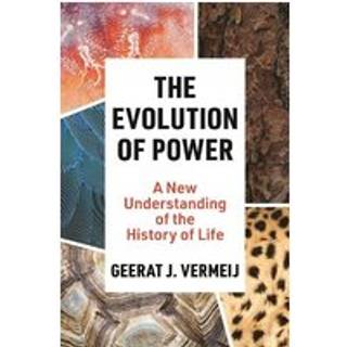 The Evolution of Power