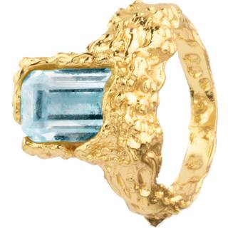 House of Vincent Paragon Gaze Sky Ring 18 kt. Forgyldt Sølv VJ133-URG-BT-54 - Dame - 925 Sterling Silver