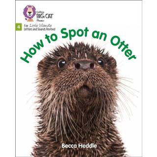 How to Spot an Otter