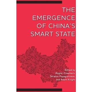 The Emergence of China's Smart State