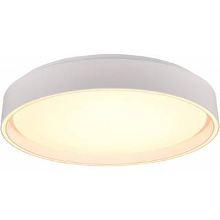 Trio Lighting - Felis Ø40 - Plafonder