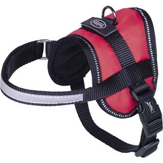 Sele Seguro Mini - waist: 31-40 cm - W: 15 mm - Rød