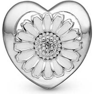 DAISY FLOWER