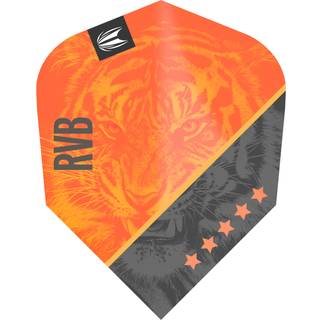 Raymond van Barneveld Pro Ultra G4 Ten-X