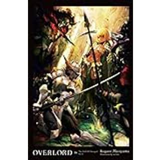 Overlord, Vol. 16 (light novel)