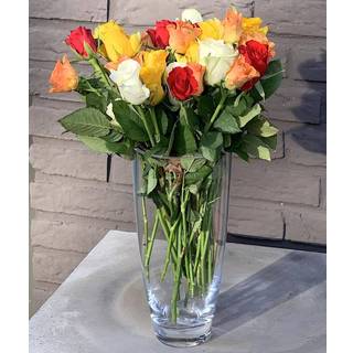 Leonardo Vase Glas Rund Klar 25 cm Eisboden Blumenvase