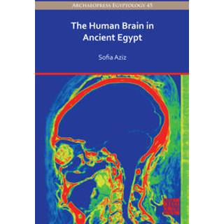 The Human Brain in Ancient Egypt