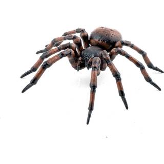 Husedderkop - L: 6,3 cm