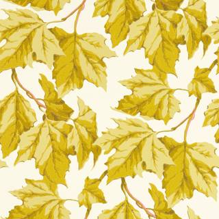 Dappled Leaf Citrine - HSRW113046