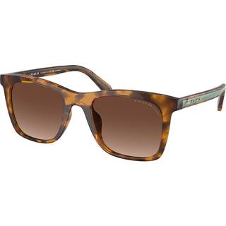 Coach HC8374F CK463 Asian Fit Polarized 5120T5 54 Solbriller Kvinder Tortoiseshell - Dark Tortoise - 54mm