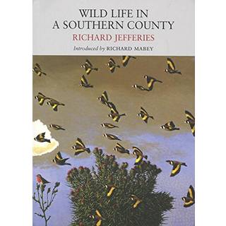 Wild Life in a Southern County