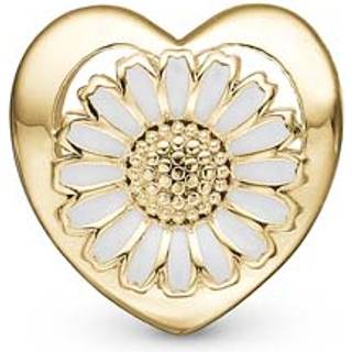 DAISY FLOWER