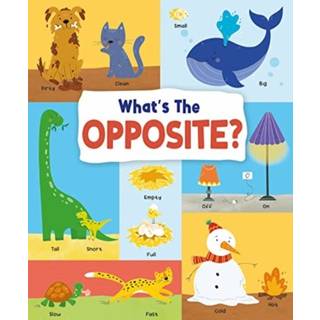 What's the Opposite?