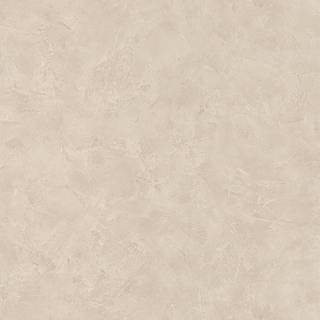 Patine Uni Beige Fonce - PAI100221421