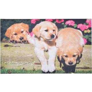 Gummi- Fussmatte Fussabtreter Hunde- Welpen 75x45cm