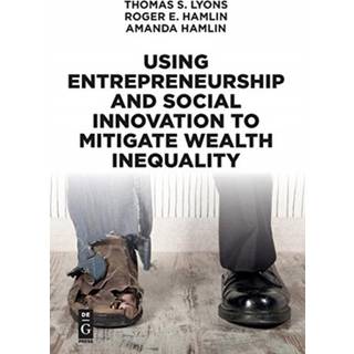 Using Entrepreneurship and Social Innovation to Mitigate Wealth Inequality