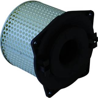 Champion Luftfilter