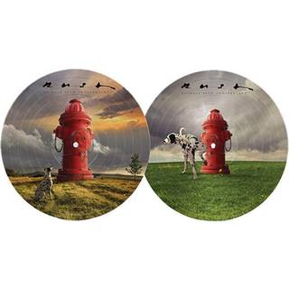 Rush - Signals (Picture Disc) (LP)