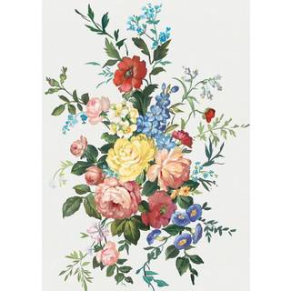 Carmen Cisne - A00220N