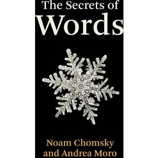 The Secrets of Words