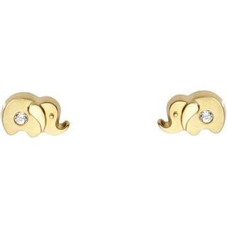 Schneider Basic Ohrringe - Gold - Elefant - KI15 - gold