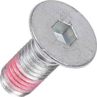 Electrolux skrue, remskive 5191350270