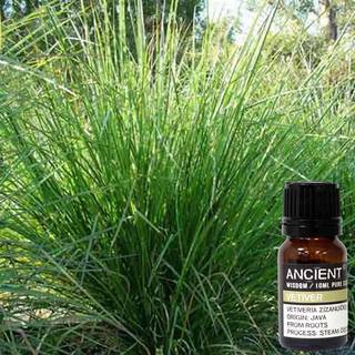 Vetiver æterisk olie, 10ml