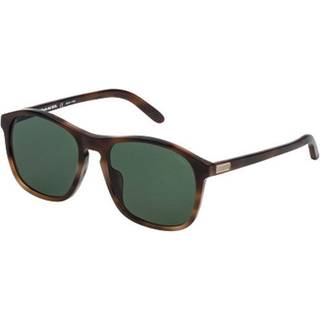 Lozza Unisex SL1845F COOPER 0752 Occhiali da sole Acetat Havana Grøn Firkantet Normal Antiblænding