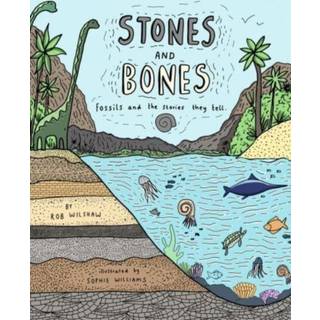 Rob Wilshaw - Stones and Bones: Fossils and the stories they tell